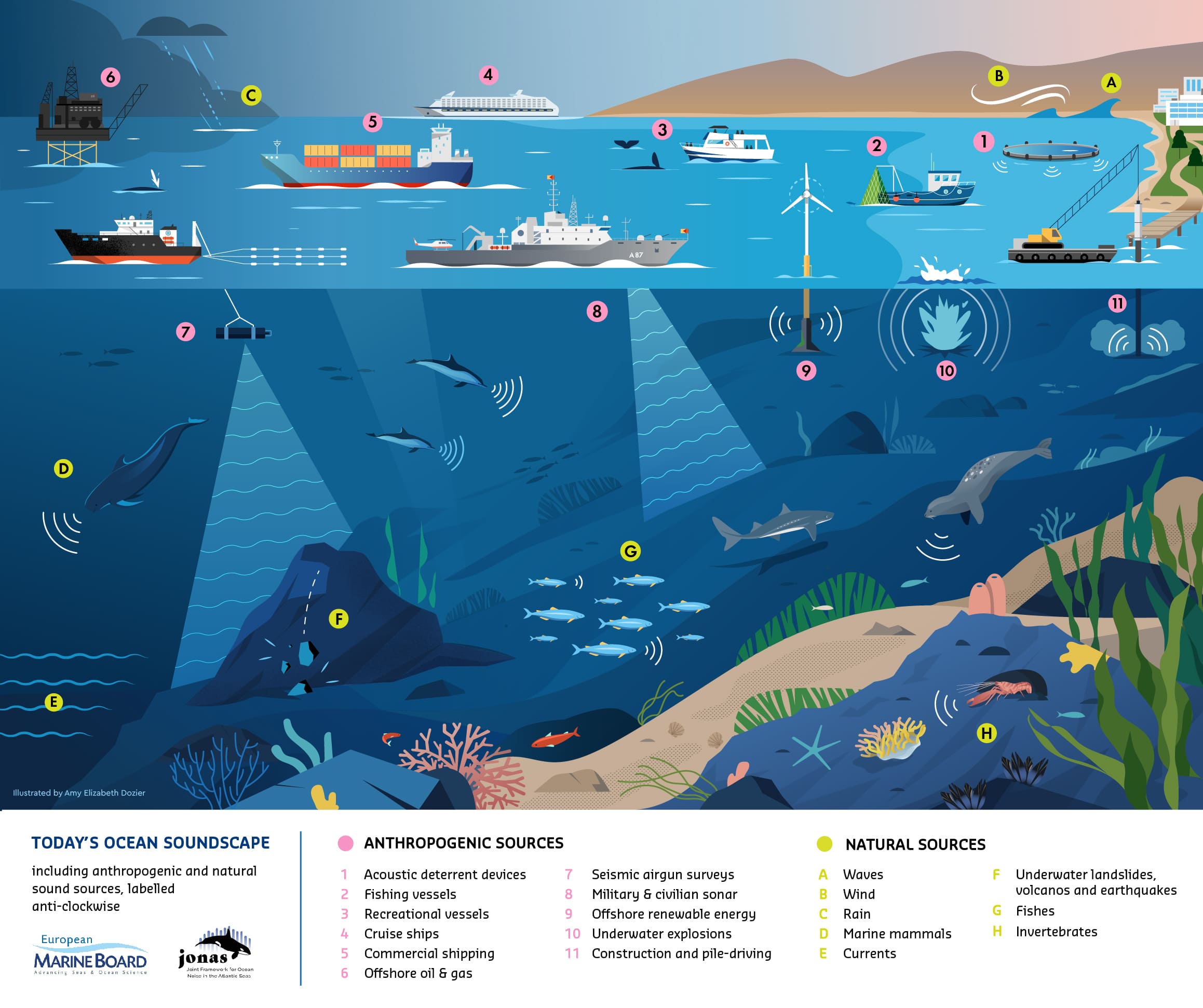 JONAS OceanSoundscape Infographic Francesco Caruso