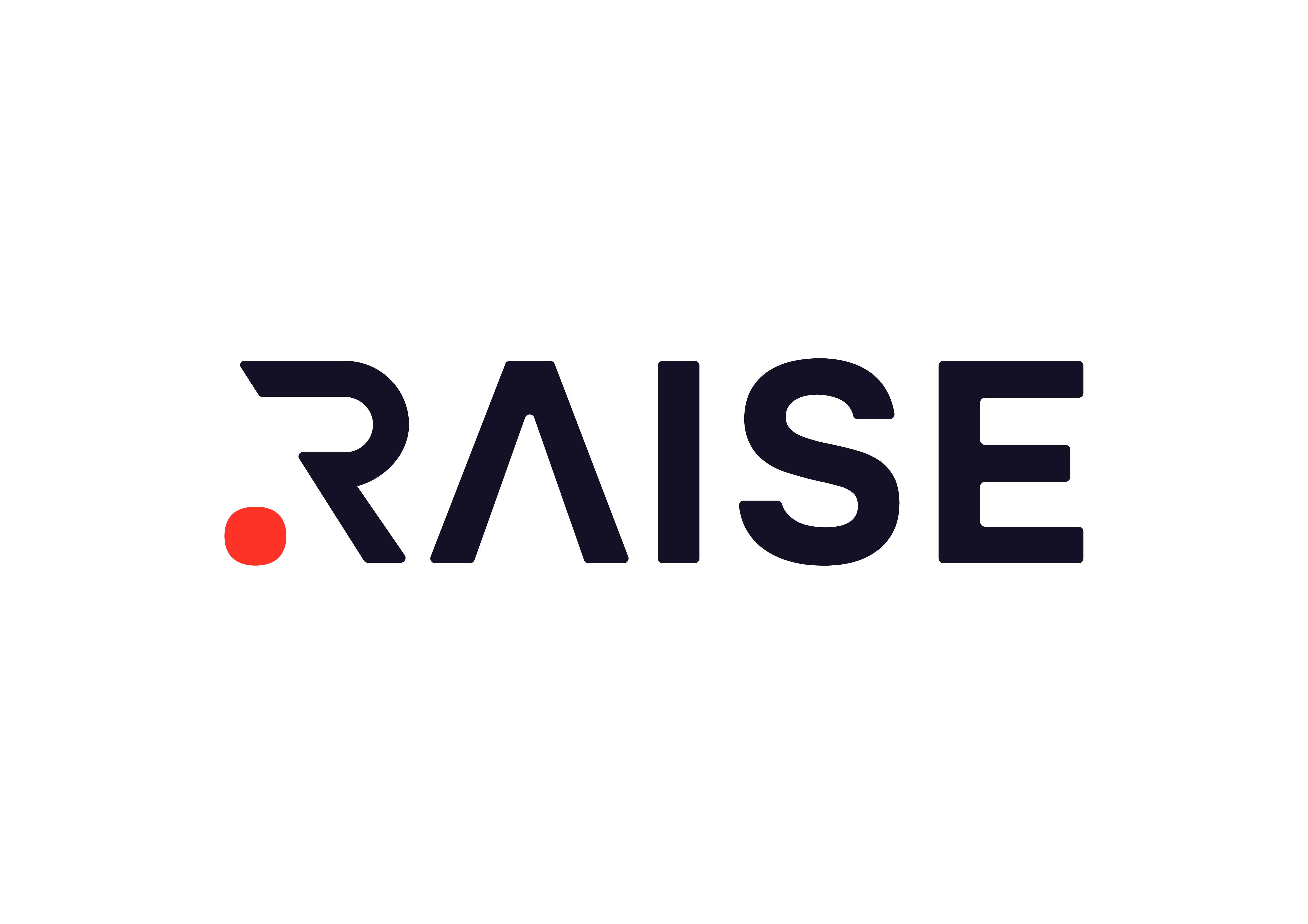 RAISE logo