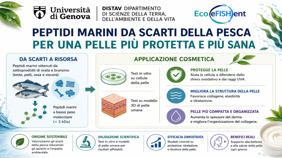 Immagine_Grasselli_WEB_Attivita_WOD2026_