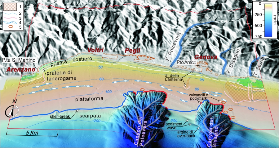MO1_3D_morfoGenovatris